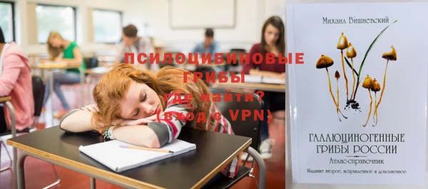 тгк Алексин