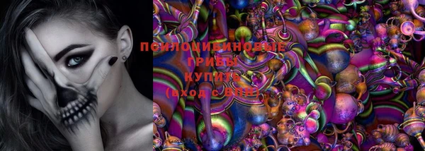 Альфа ПВП Алзамай
