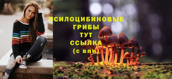 тгк Алексин