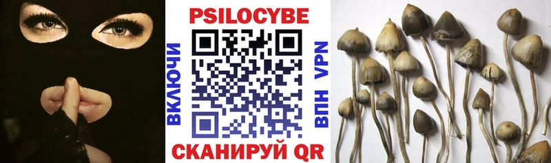 гидра tor  Томари  Галлюциногенные грибы Psilocybine cubensis 