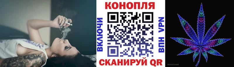 Шишки марихуана THC 21% купить мега ONION Томари